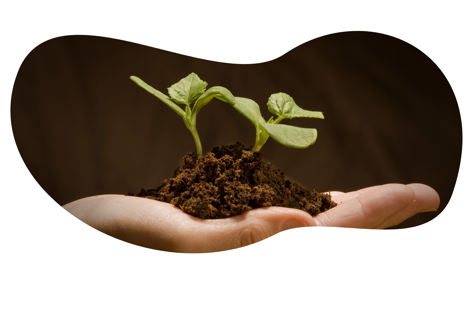 Accompagnement création d’entreprise : analyse, formalités, outils TIIME